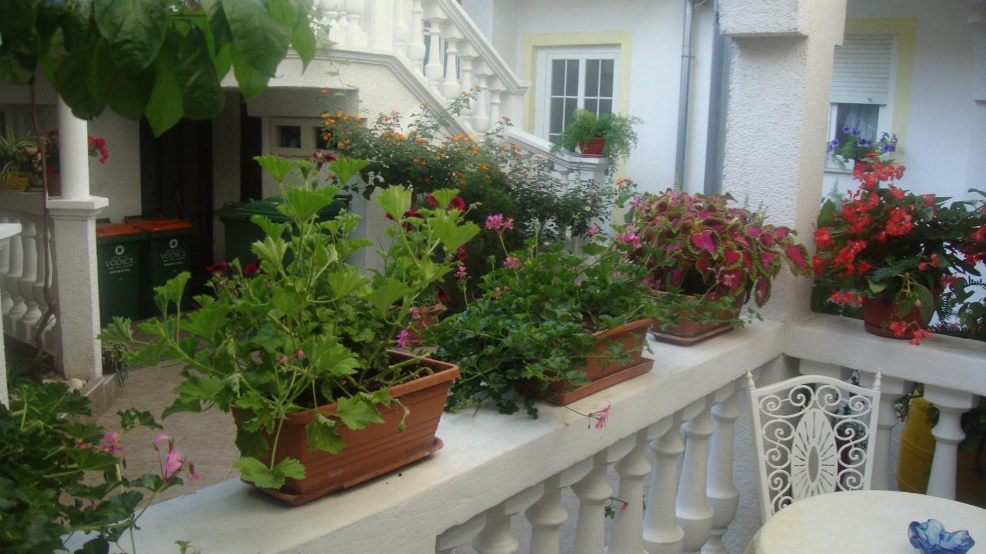 Apartments Vodice Marica Room photo
